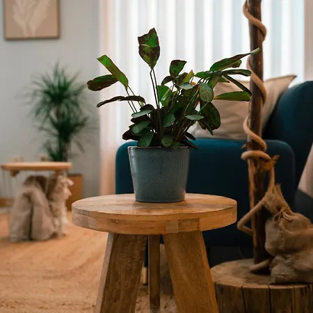 Maresia - Apartament *